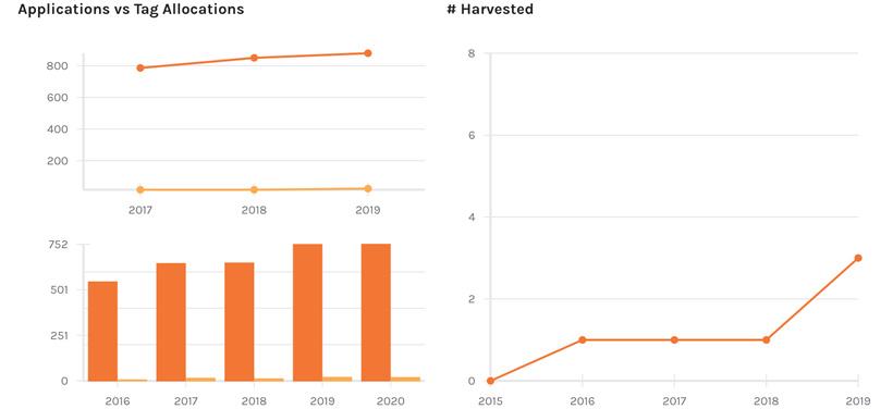 Tag allocation and bears taken