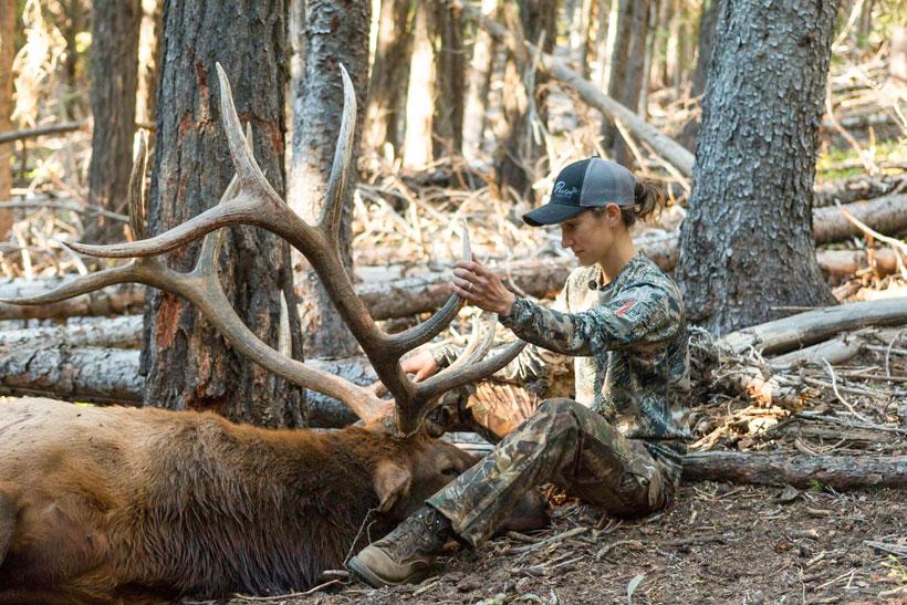 Bowhunter admiring her archery bull elk