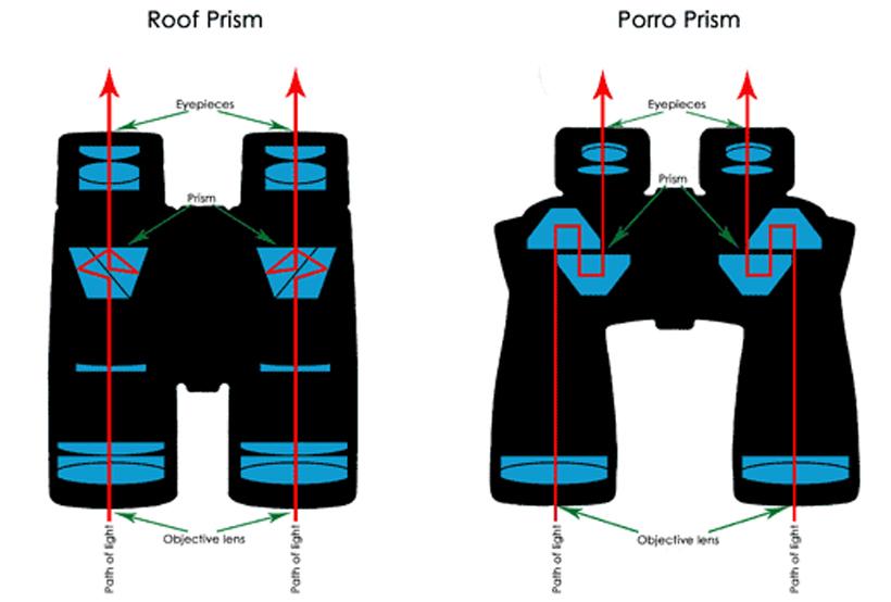 Porro roof prism binoculars