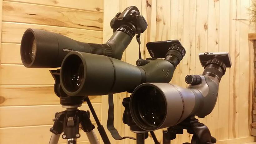 Tines up digiscoping setups for hunting