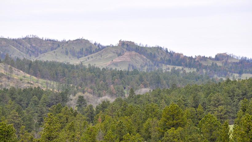 Nebraska turkey hunting country