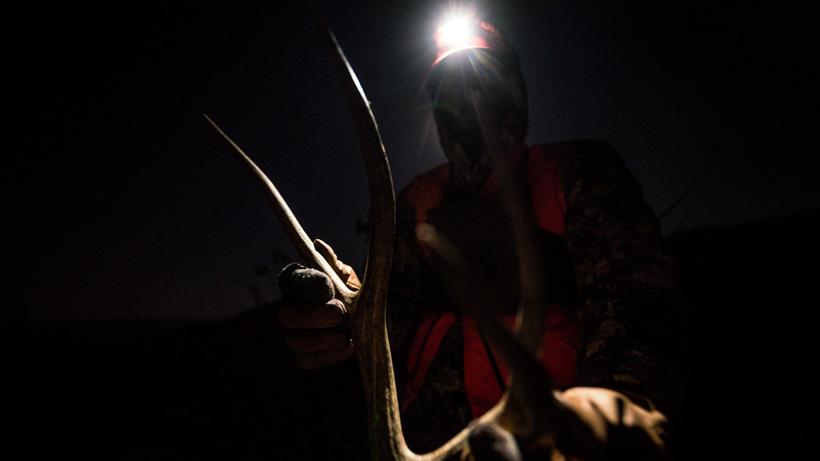 Brady miller Utah mule deer taken on the Dedicated Hunter Program
