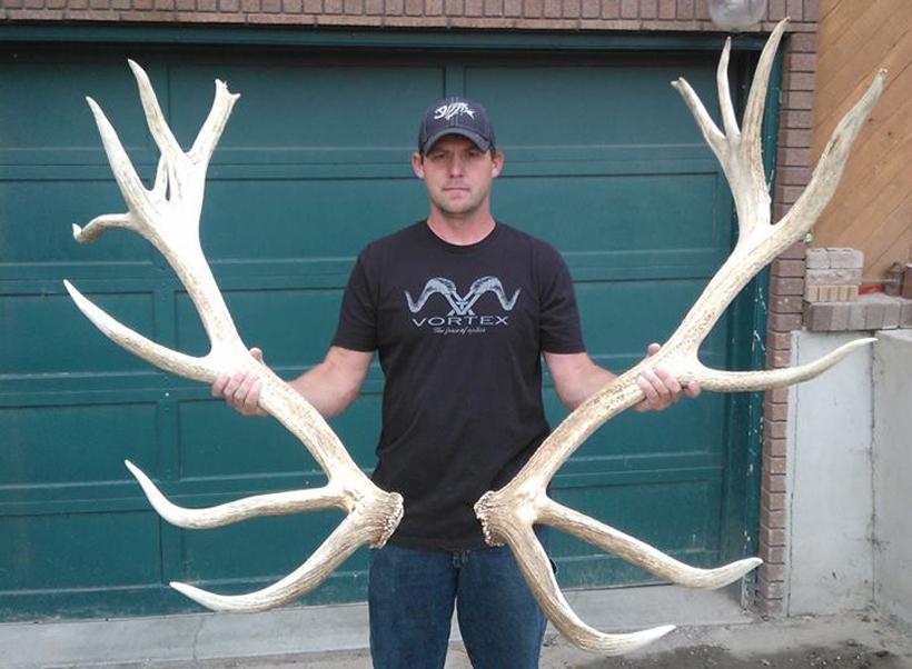 Nontypical elk shed antlers