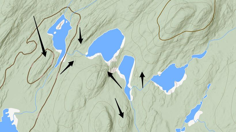 Example of bedding knobs near swamps for whitetails