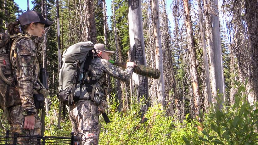 Bugling to locate elk