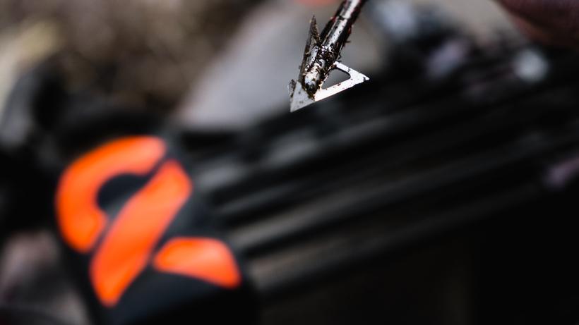 Close-up of an arrow tip