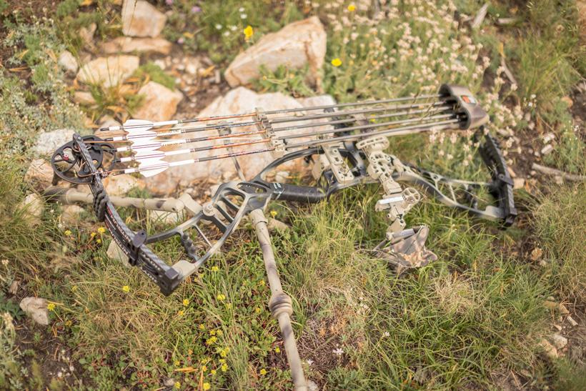 Brady miller hoyt nitrum 34 bow