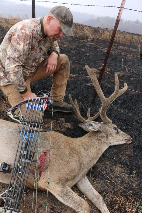 Admiration at a unique situation after a wildfire