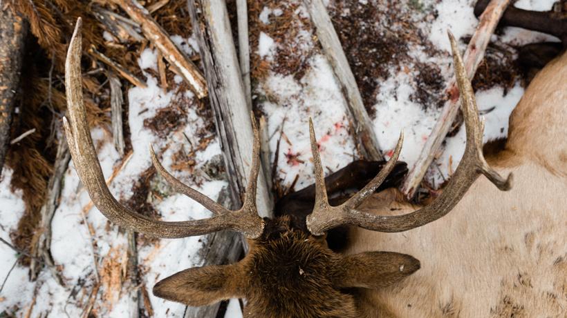 Finding time to hunt as a new parent 4