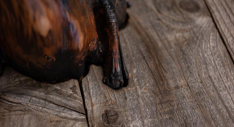 Burned stump on barn wood