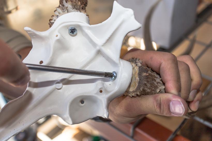 Attaching antlers to mount 9