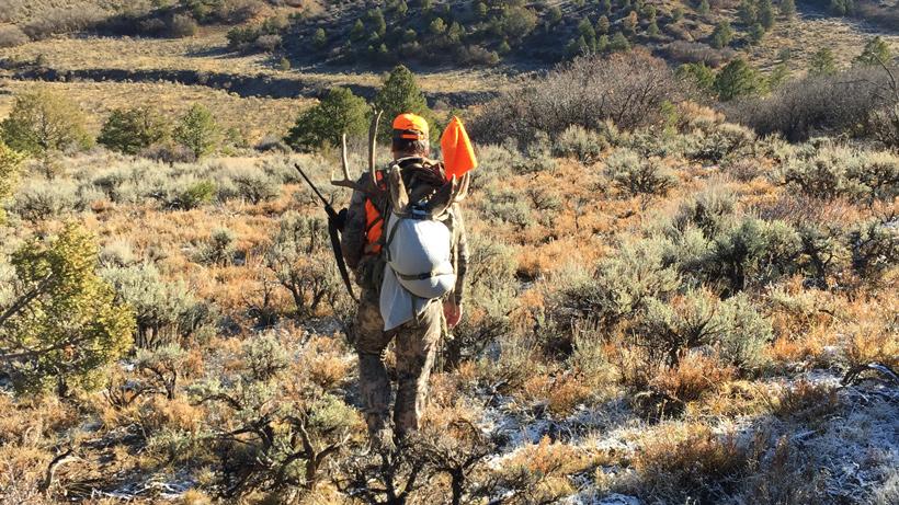 Colorado third season deer 1310