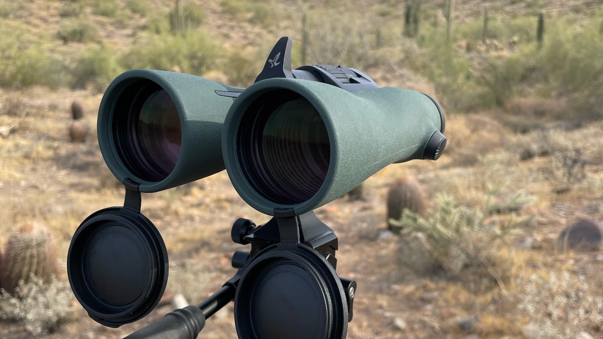 Swarovski NL Pure 10x52 binocular