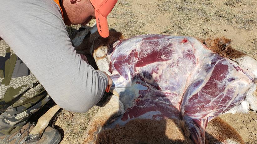 Hot hunts meat care 2