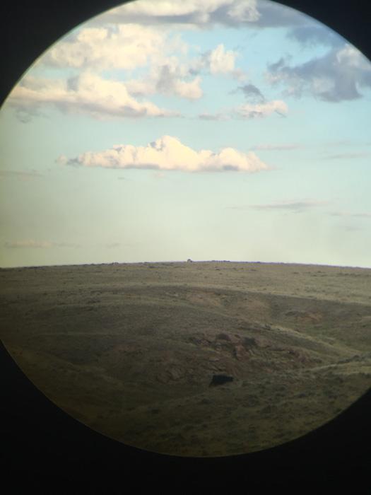 Glassing for antelope with spotting scope