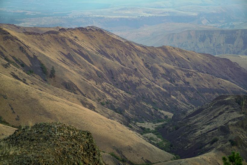 Sheep hunting country