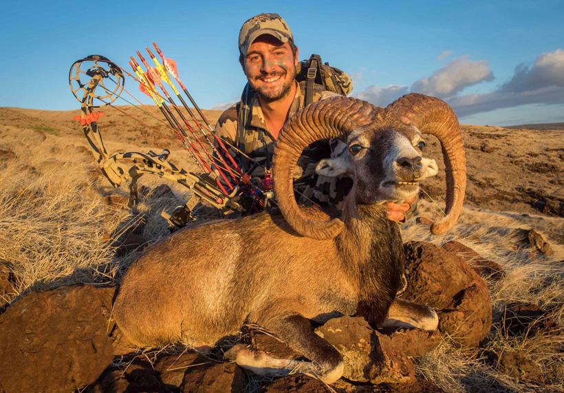 Pedro De Ampuero with a 2015 Lanai Muflon ram