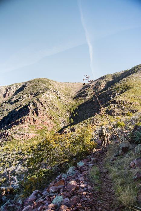 Hiking across black bear country in arizona