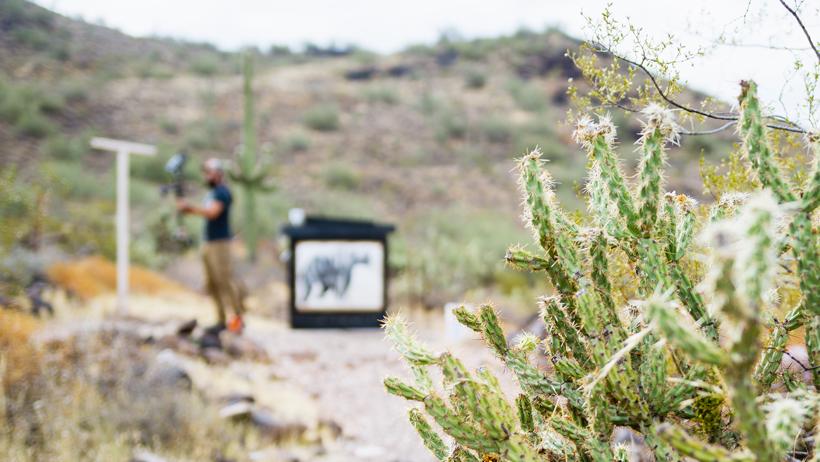 Ideal bowhunting draw weight 4