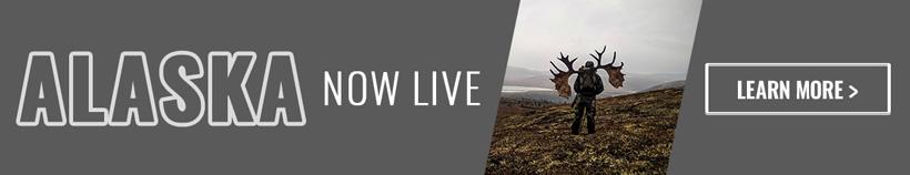 Alaska now live banner_0