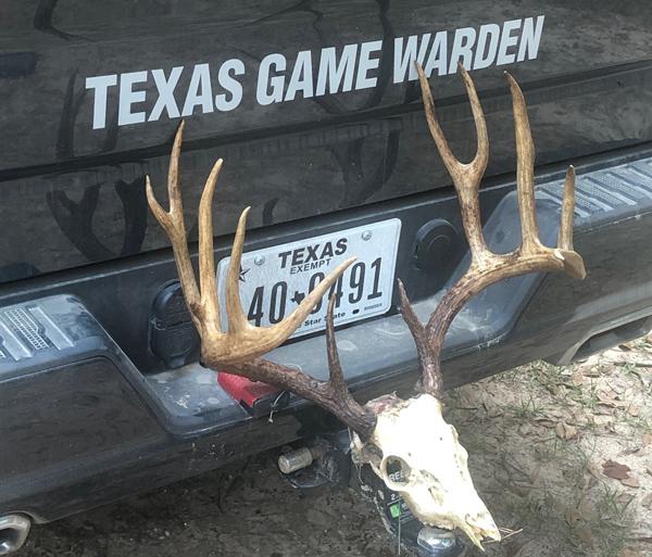 Texas game warden tweet whitetail deer