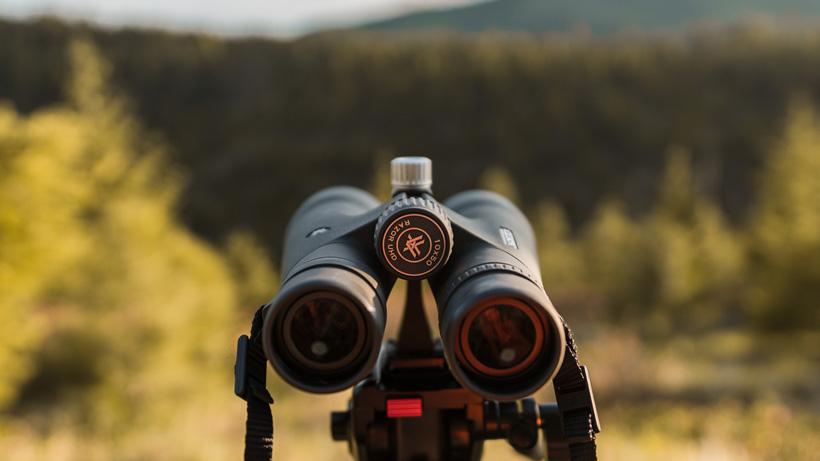 Vortex razor uhd 10x50 binoculars