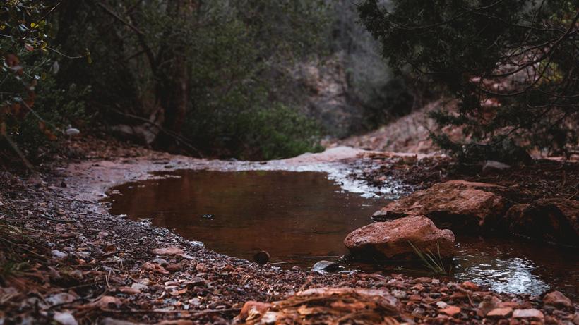 Hot weather hunting tips 3