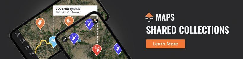 Shared collections button in article ad bar