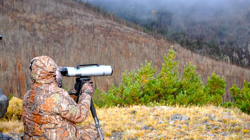 Glassng for mule deer through the fog in the henry mountains