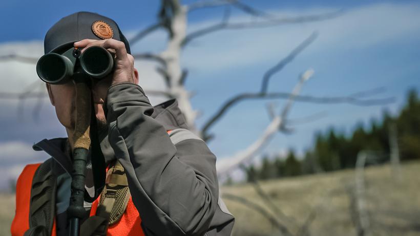 Glassing trekking pole stand