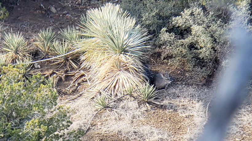 To bed or not to bed kirchner pic 2