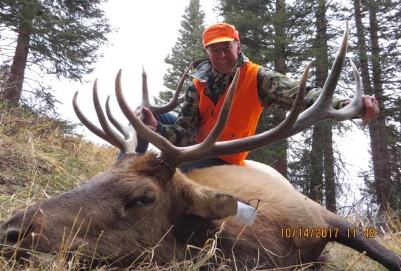 2017 bull elk taken with high timber outfitters