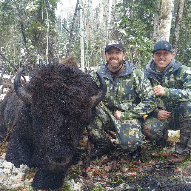 Robbie matthews arizona bison