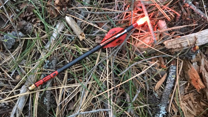 Broken arrow after shooting elk