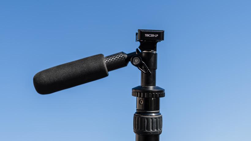 Tricer lp pan head close up