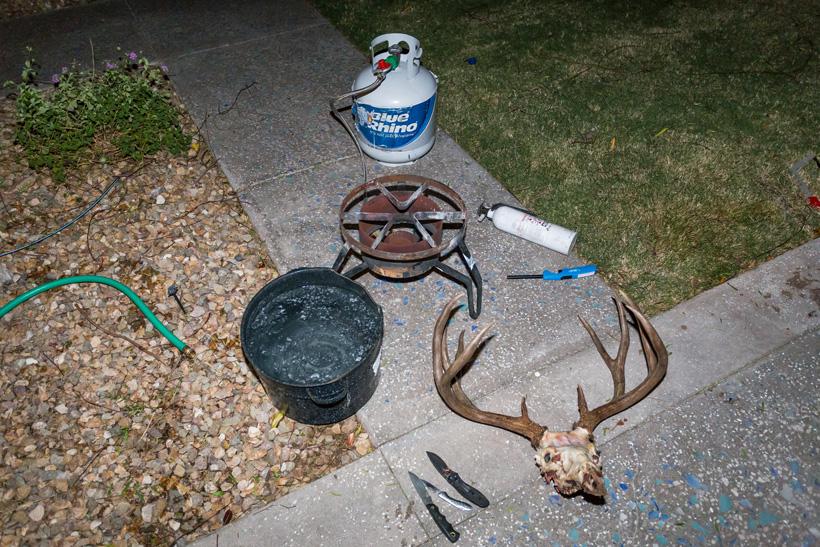 Tools needed for skull mount