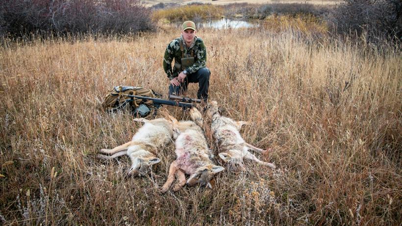 Anthony wright coyote hunting
