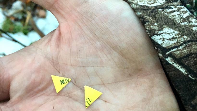 Date of kill of a mule deer buck