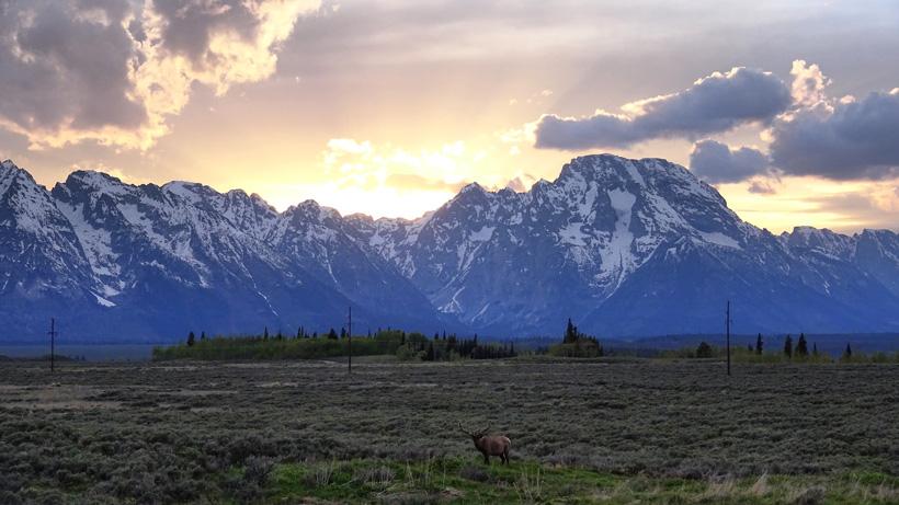 Jake horton elk 101 1