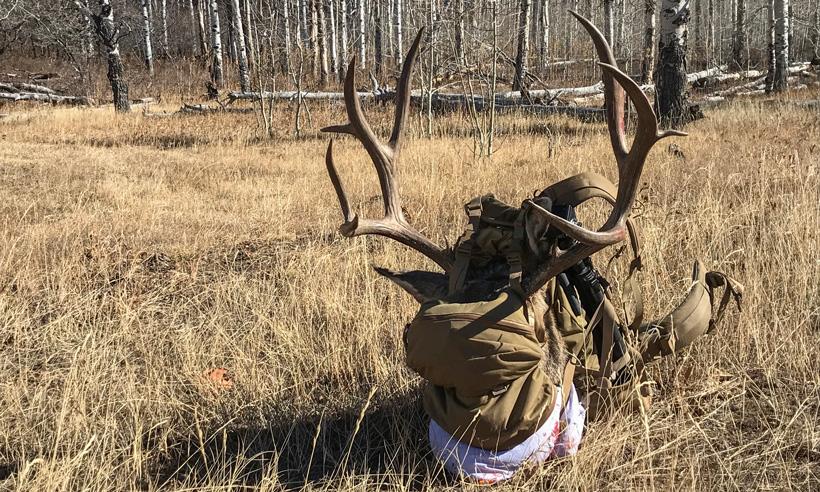 Chris porter 2017 colorado mule deer in mystery ranch backpack