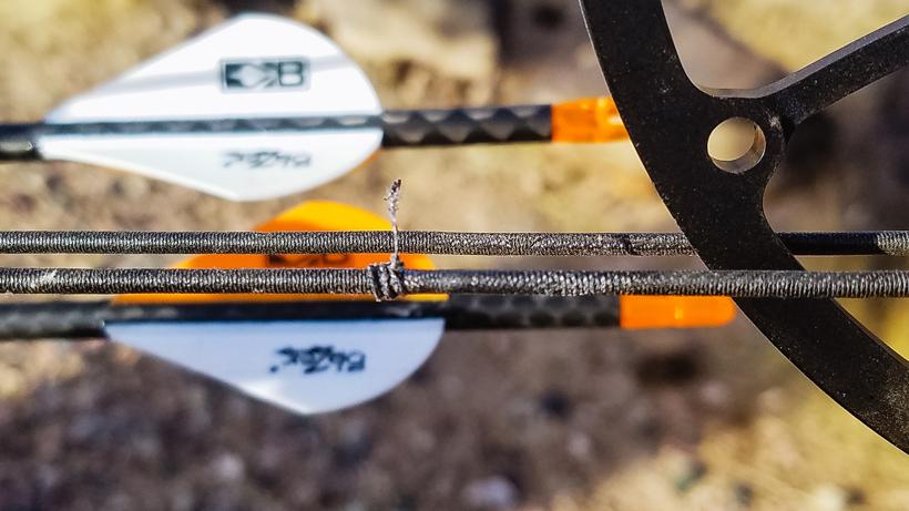 Benefits of not shooting a bow all the time 2