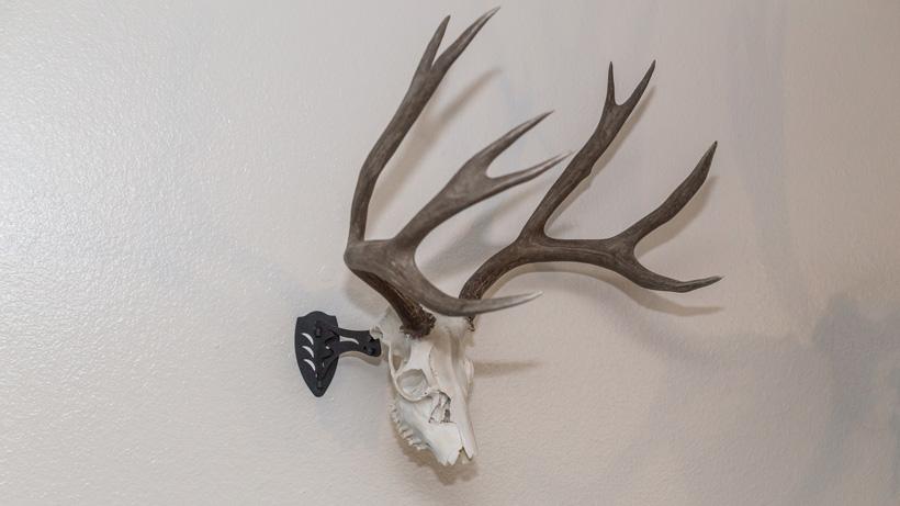 Skull hooker mounting bracket with mule deer