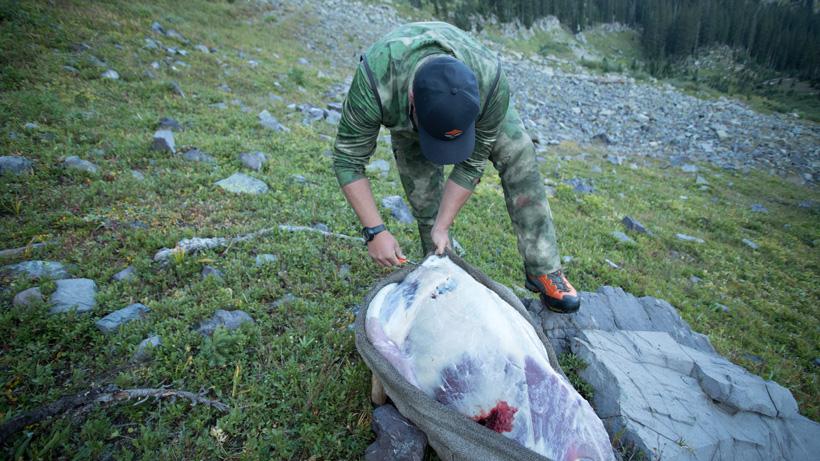 Brandon evans performing gutless method on deer